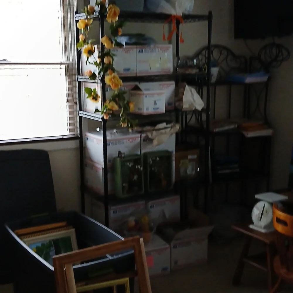Everything - Picture 4 of 6